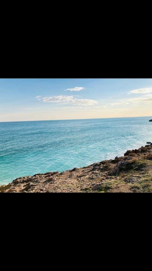 Grand Studio Bord De Mer Plus Piscine Sète Dış mekan fotoğraf